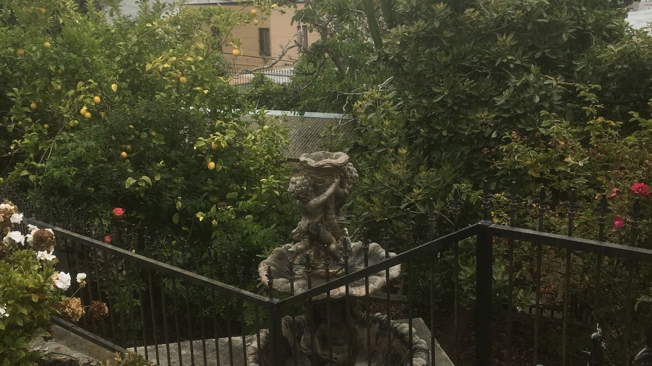 Photo of Outdoor in Westwood Park