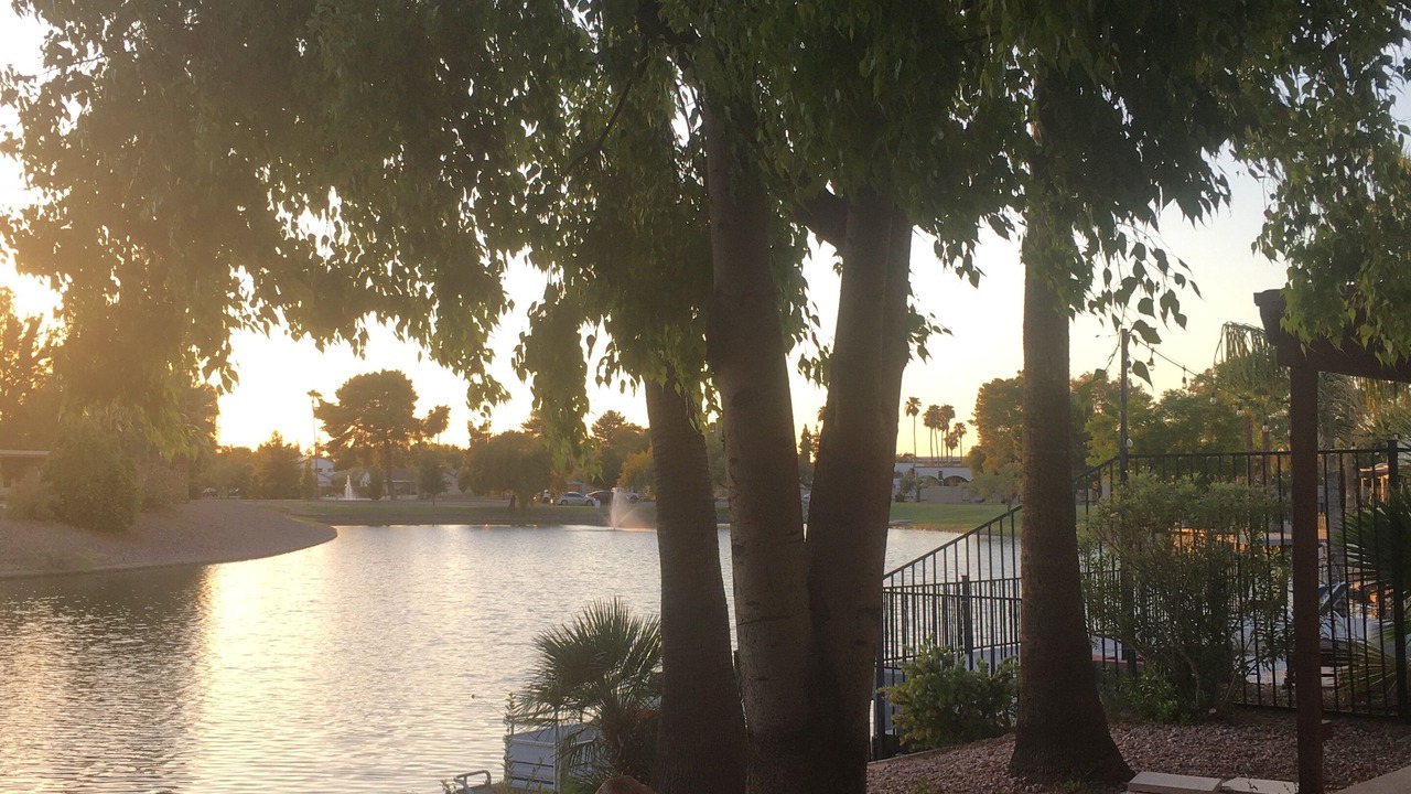 Photo of Outdoor in Dobson Ranch