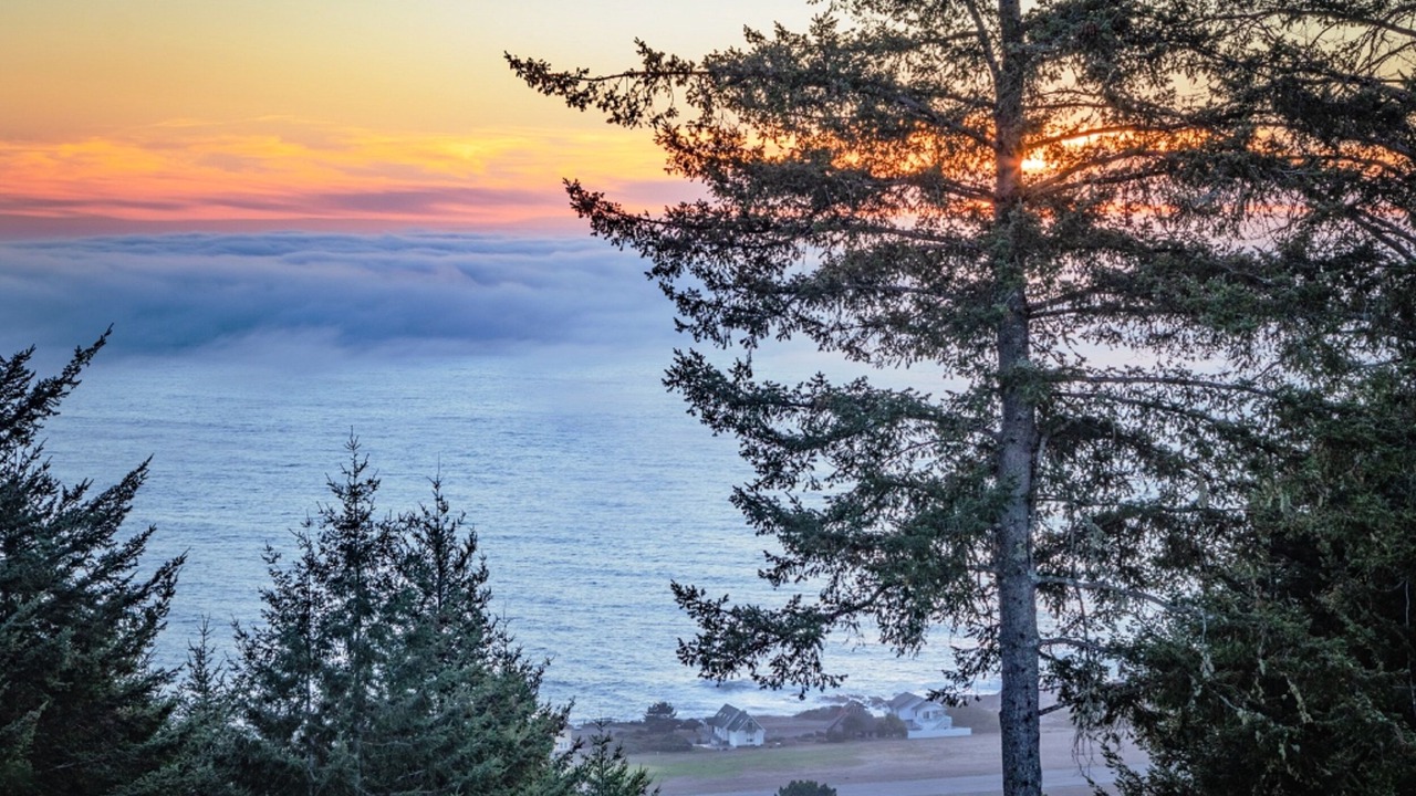 Photo of Others in Shelter Cove