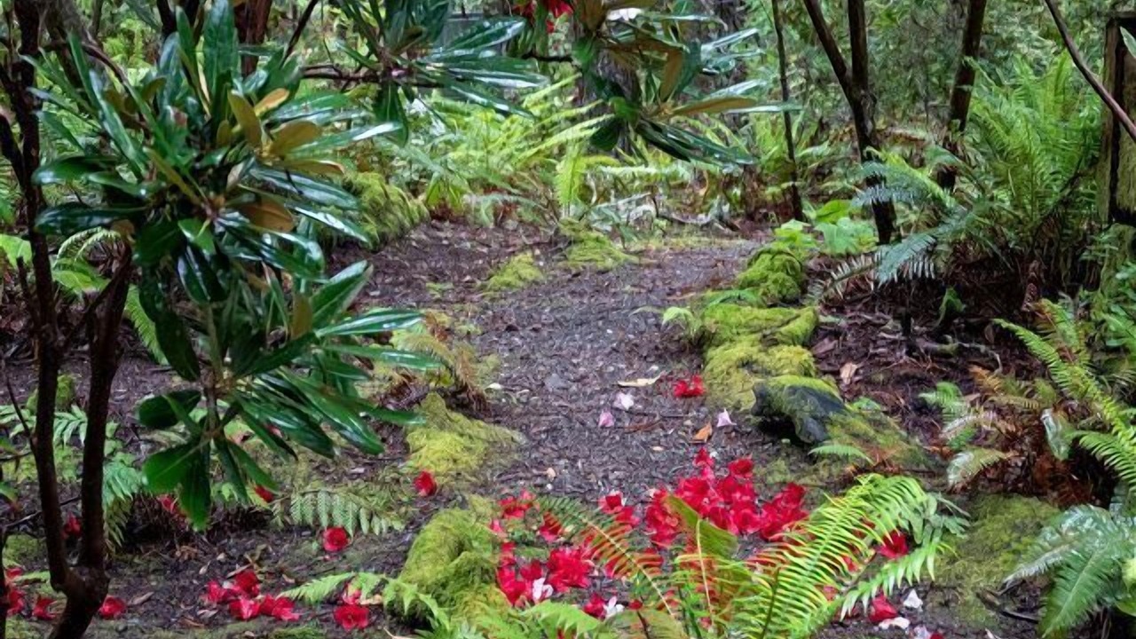 Photo of Outdoor in Sea Ranch