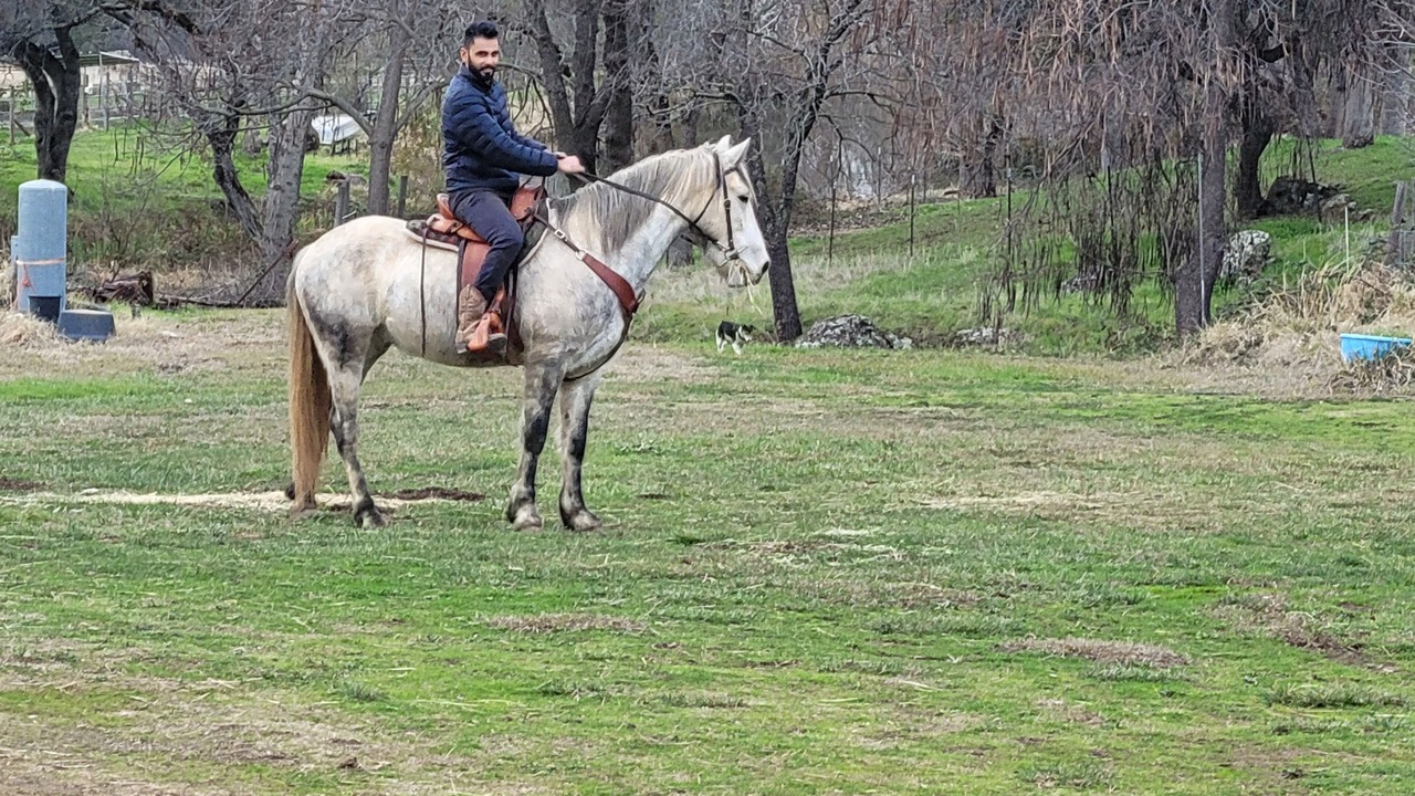 Photo of Outdoor in Smartville
