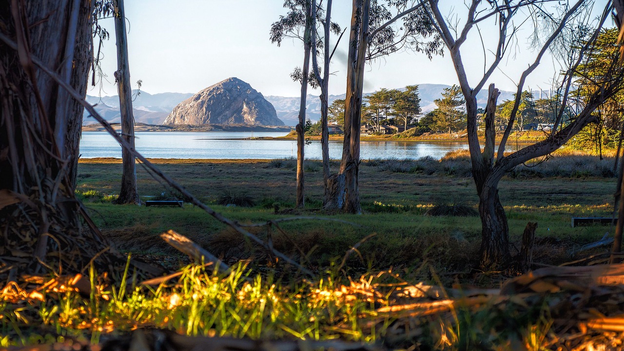 Photo of Outdoor in Baywood Park