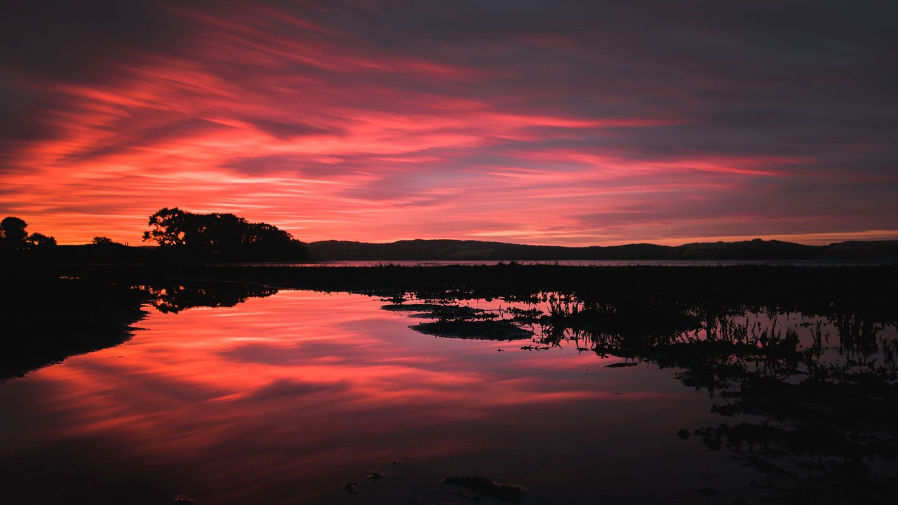 Photo of Outdoor in Baywood Park
