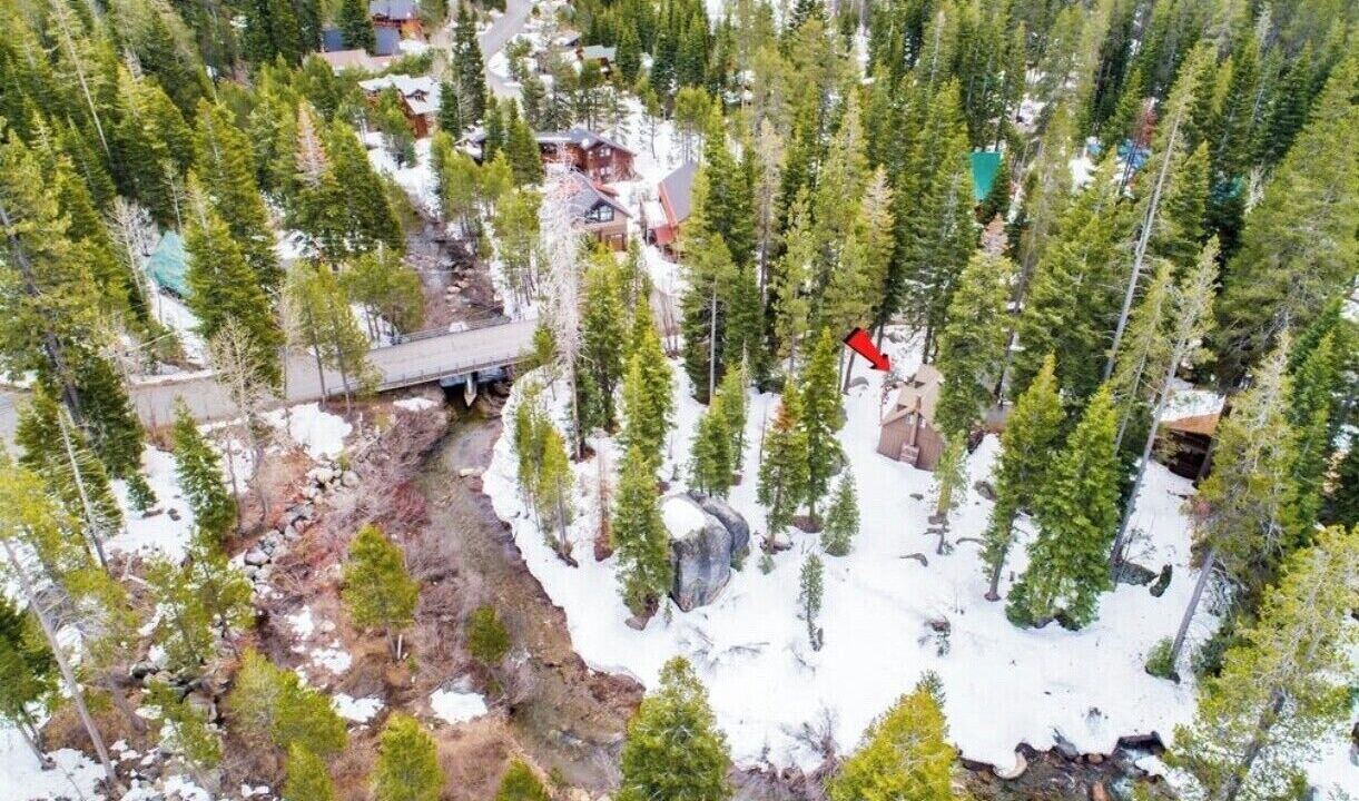 Photo of Others in Donner Lake Woods
