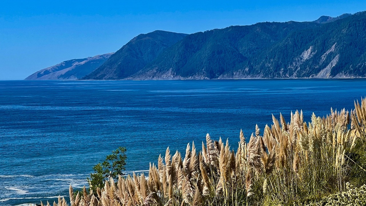 Photo of Others in Shelter Cove