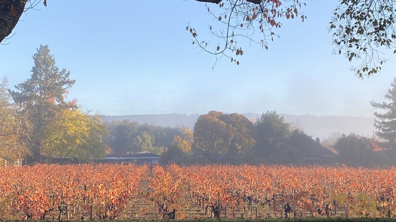 Photo of Outdoor in St. Helena