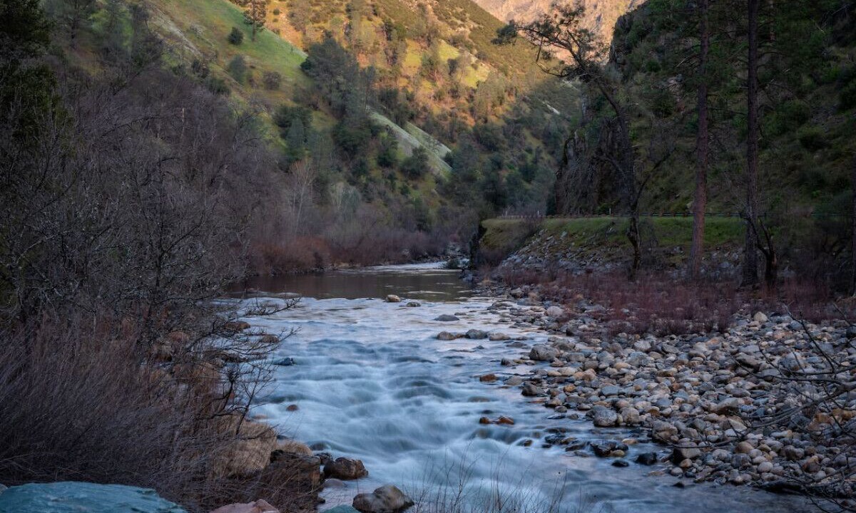Photo of Others in El Portal