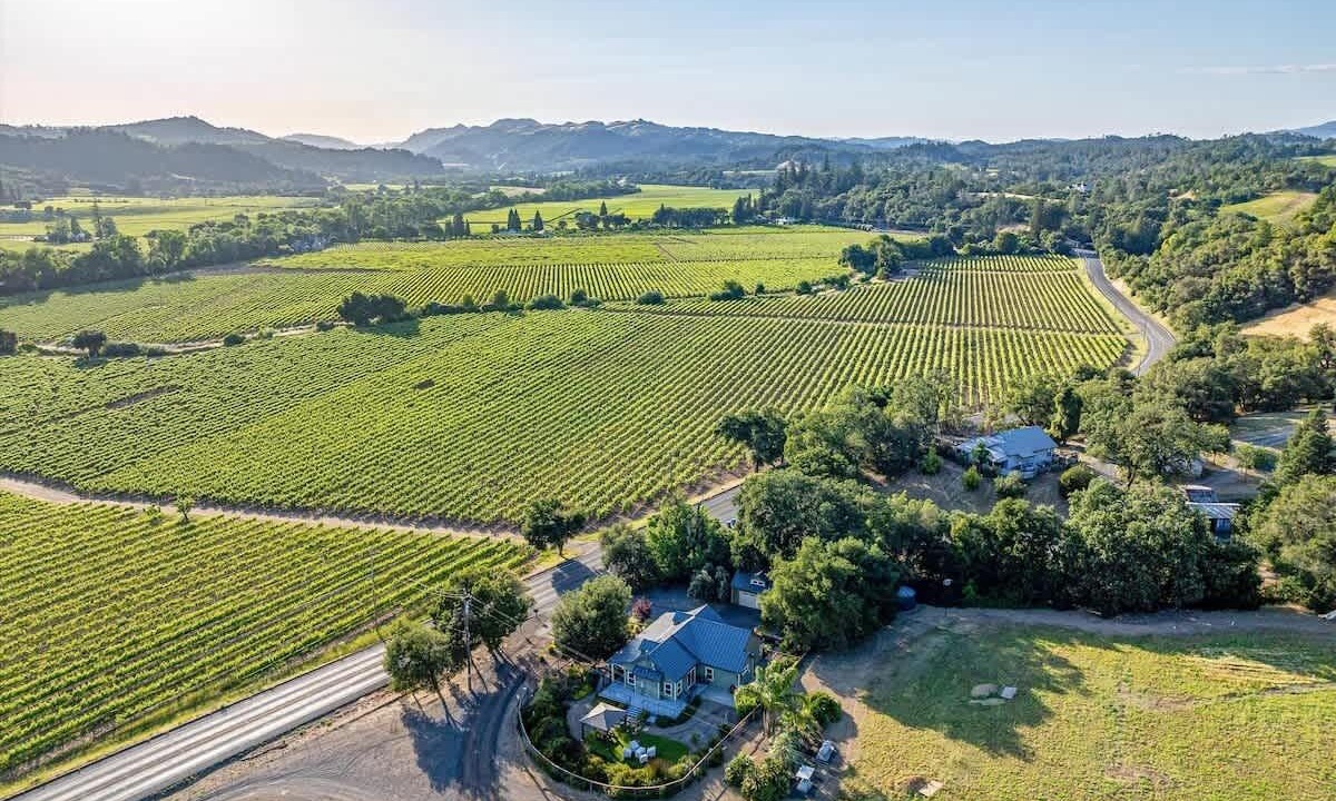 Photo of Outdoor in Healdsburg