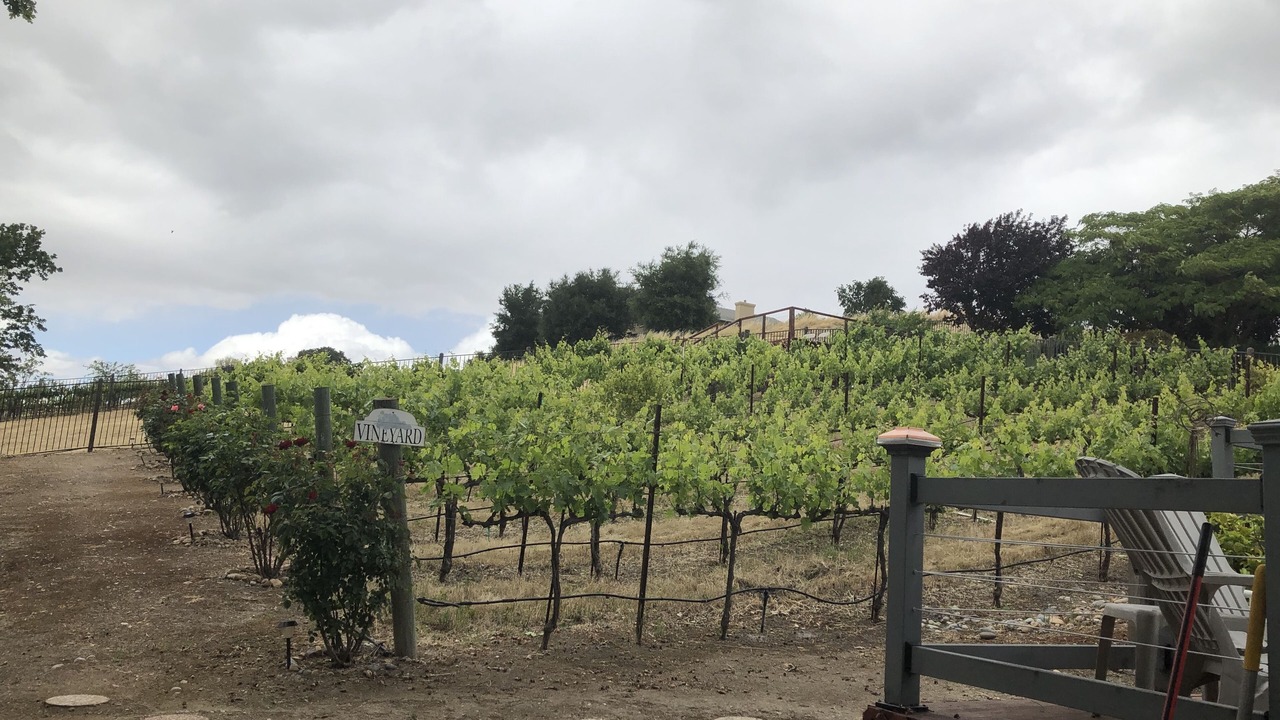Photo of Outdoor in Paso Robles