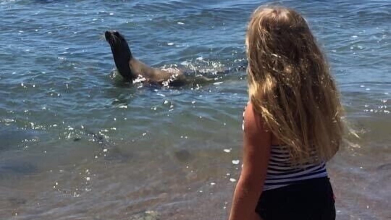 Photo of Others in Shell Beach