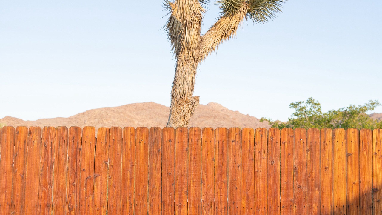 Photo of Outdoor in Joshua Tree