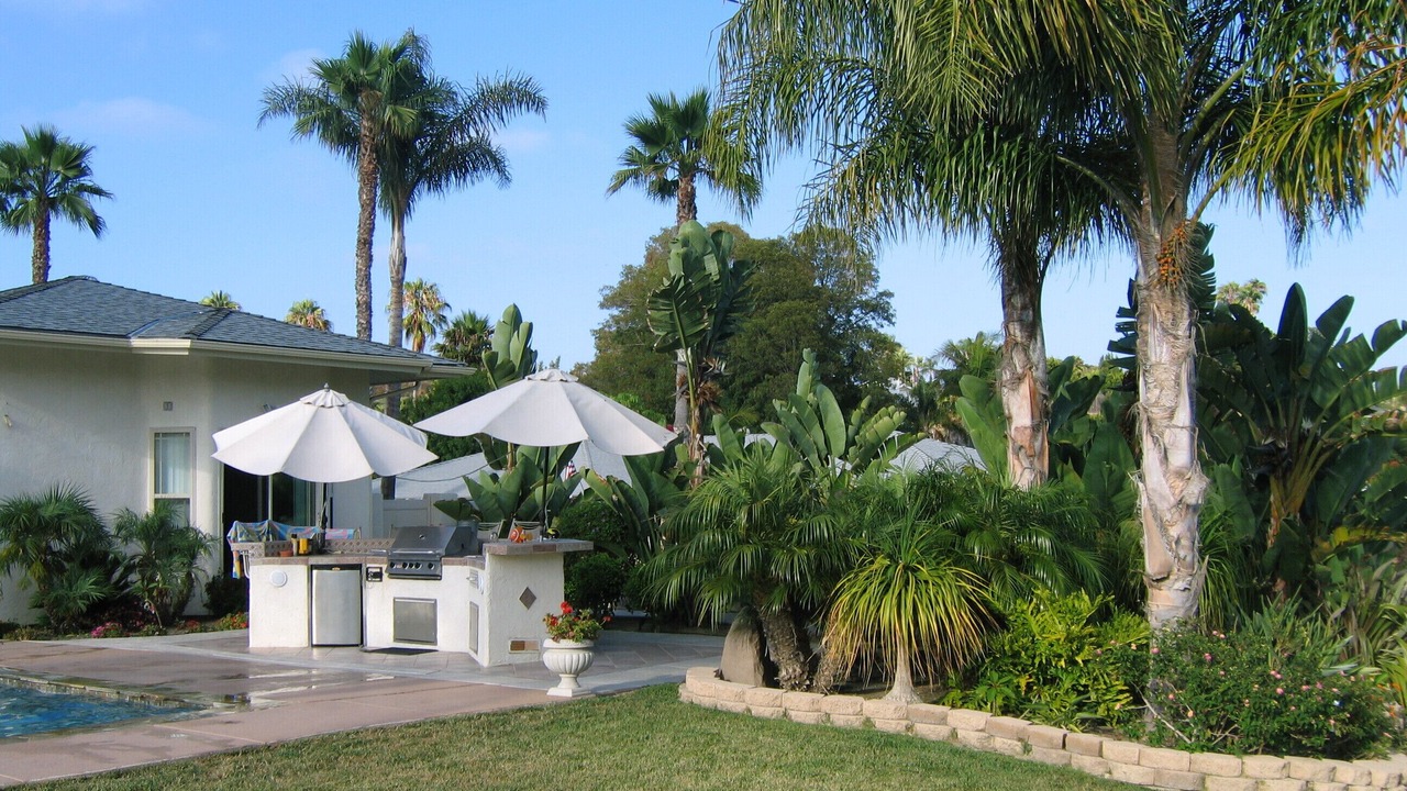 Photo of Others in Mira Costa