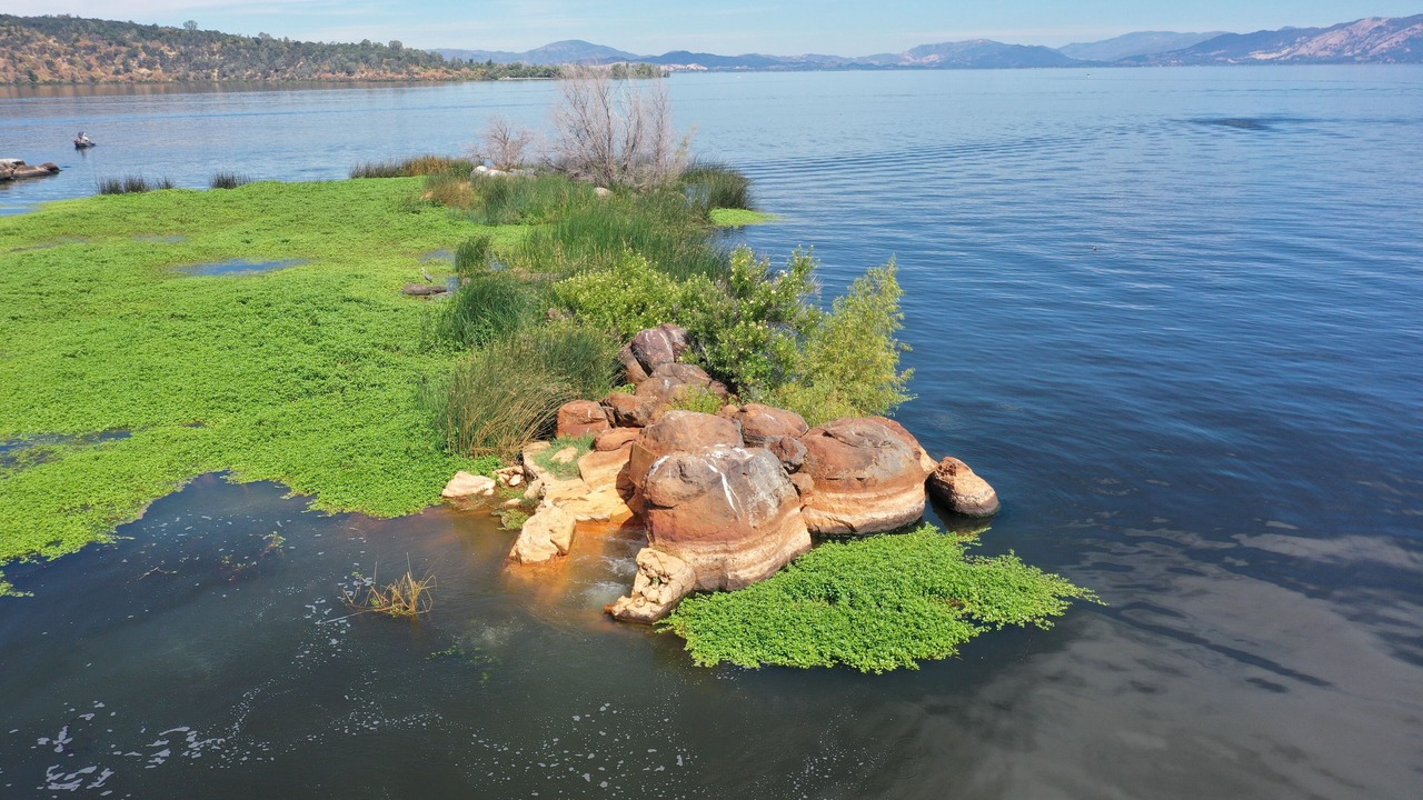 Photo of Others in Soda Bay