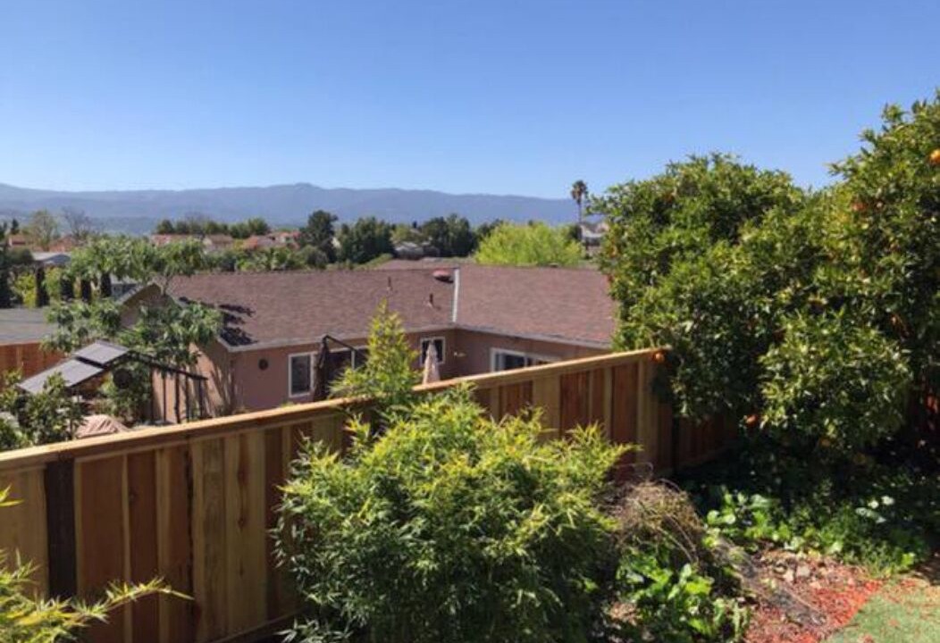 Photo of Outdoor in Edenvale