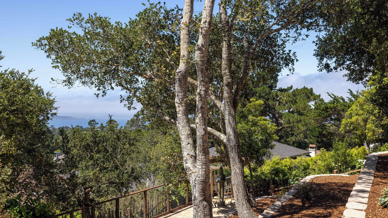 Photo of Outdoor in Carmel Woods