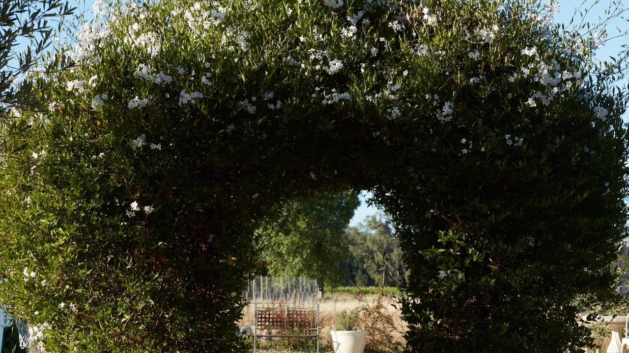 Photo of Outdoor in Sonoma