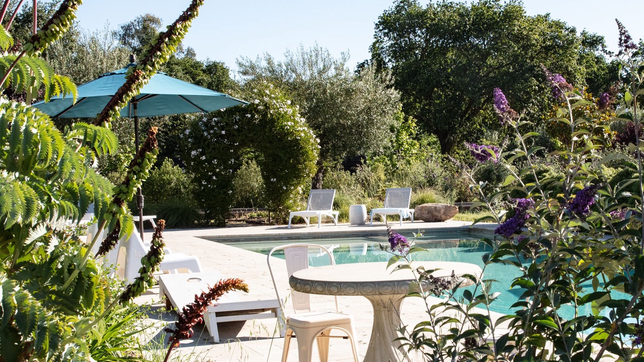 Photo of Outdoor in Sonoma