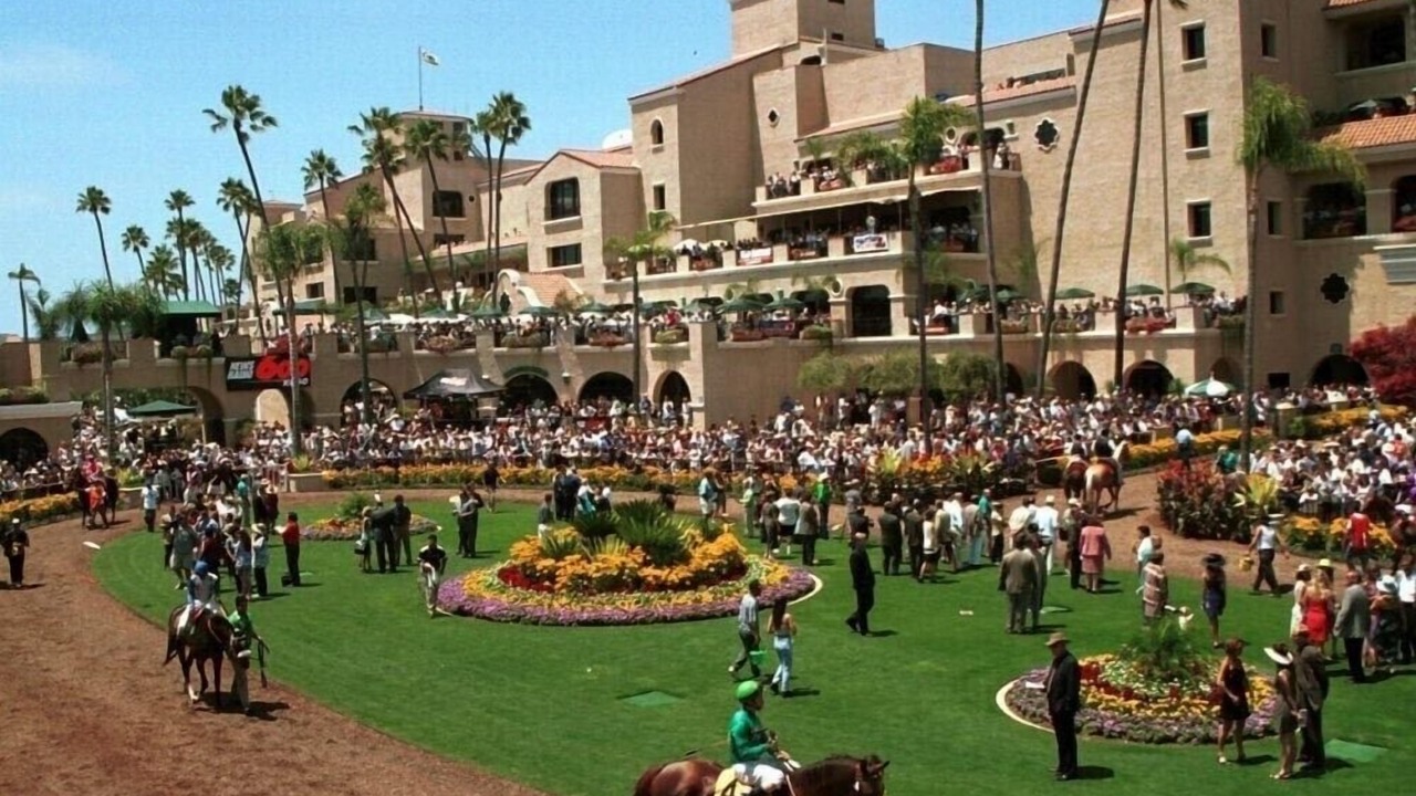Photo of Others in Del Mar Heights