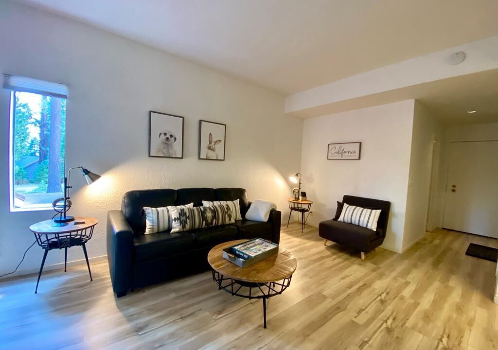 Photo of Livingroom in Kings Beach
