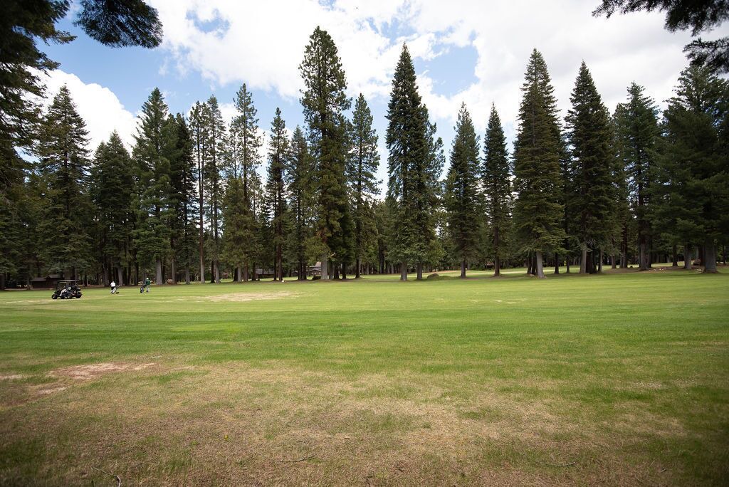 Photo of Others in Lake Almanor West
