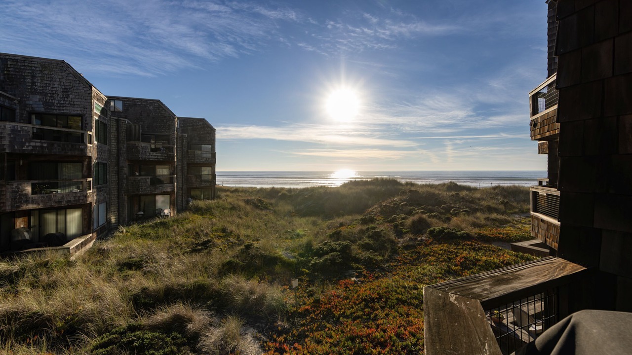 Photo of Others in Pajaro Dunes