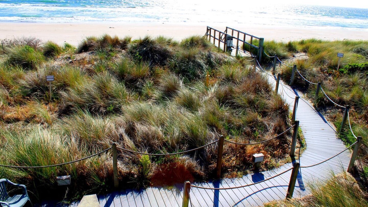 Photo of Others in Pajaro Dunes