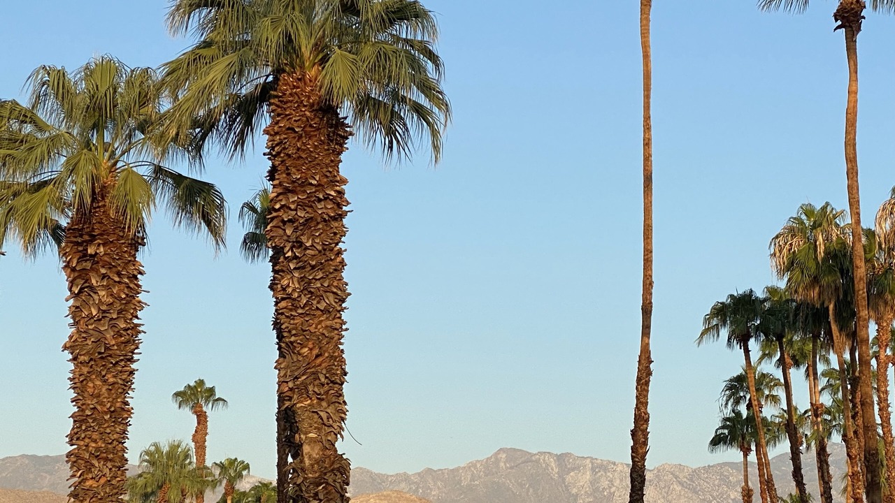 Photo of Others in Palm Desert