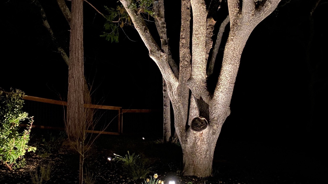 Photo of Outdoor in Central Portola Valley