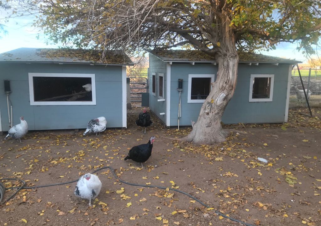 Photo of Outdoor in Blythe