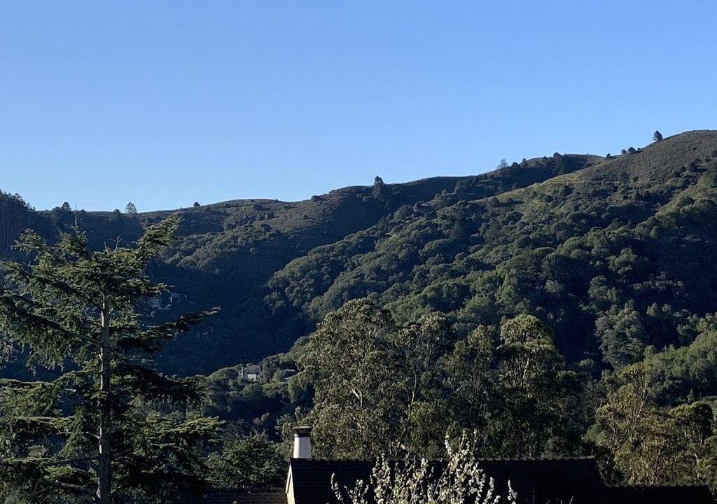 Photo of Others in Tamalpais-Homestead Valley