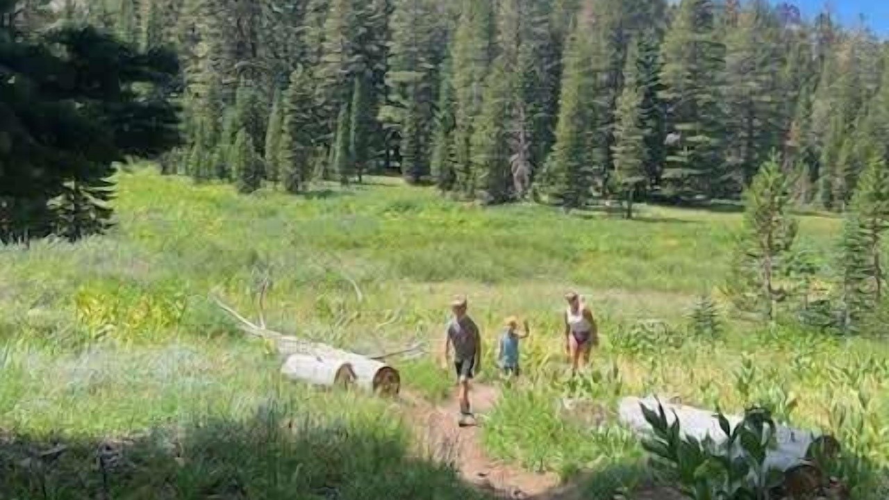 Photo of Others in East Meadows