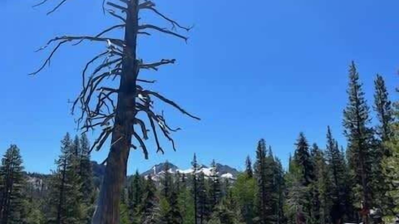 Photo of Others in East Meadows