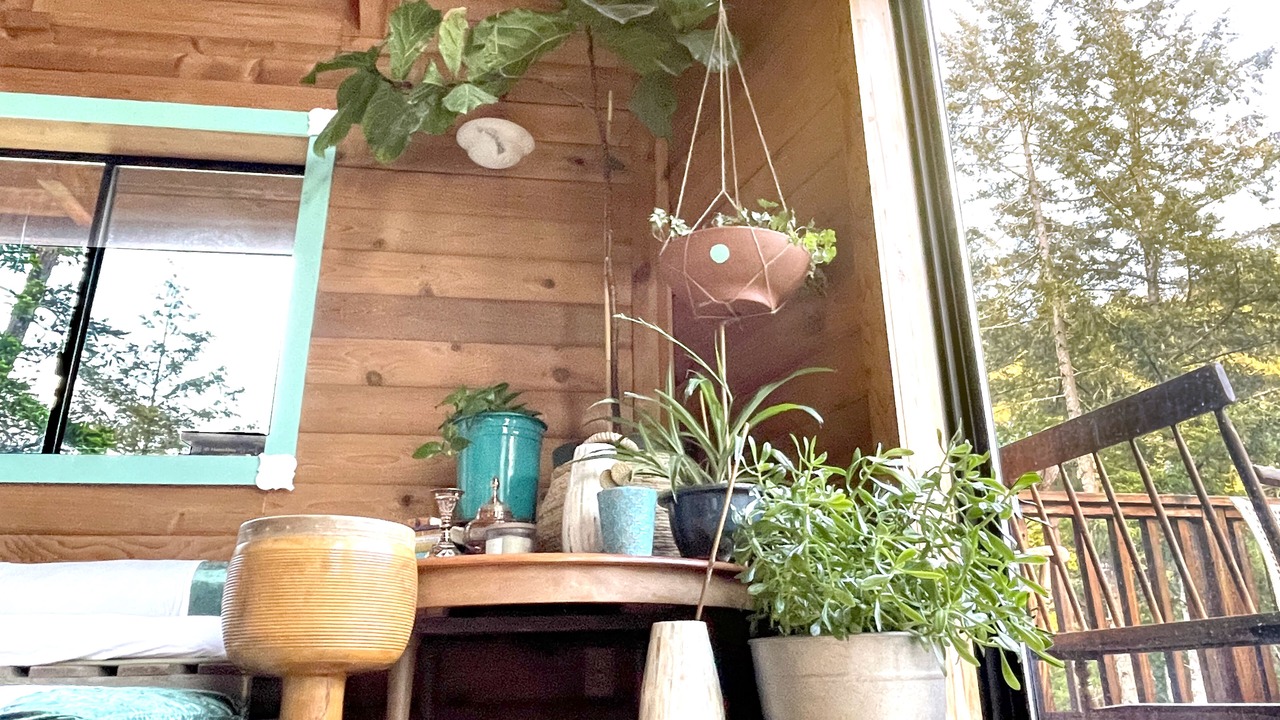 Photo of Outdoor in Occidental