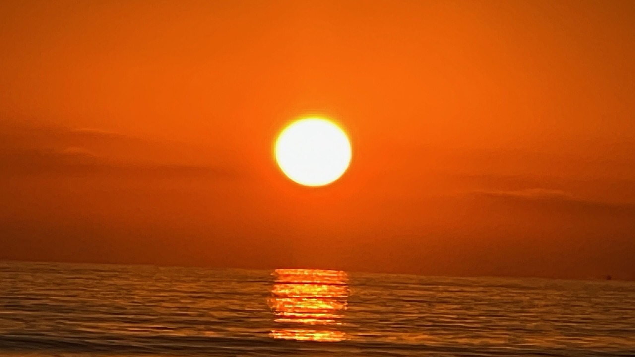 Photo of Others in Capistrano Beach