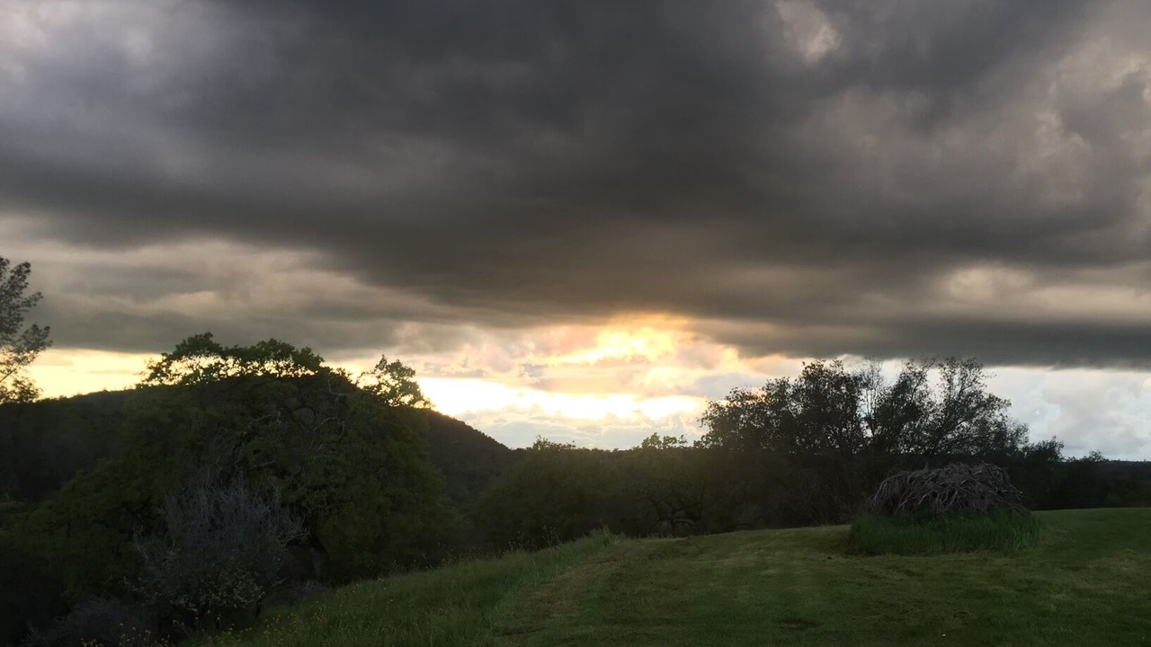 Photo of Outdoor in Raisin