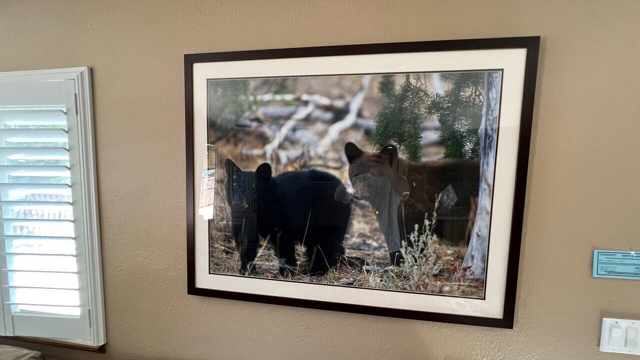 Photo of Others in Lakehead