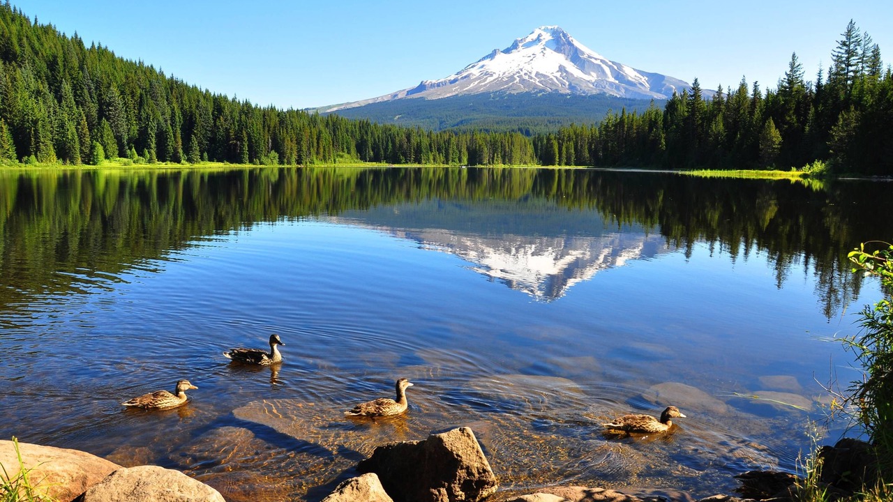 Photo of Others in Mount Hood Village