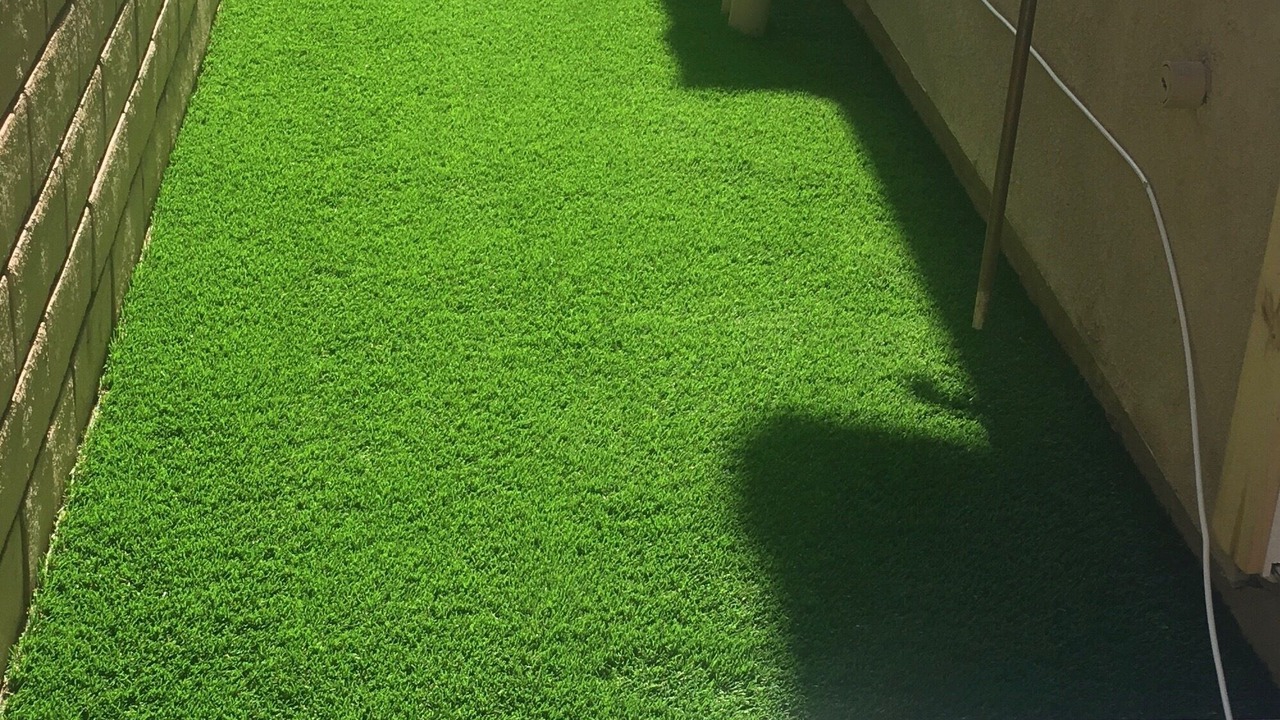 Photo of Outdoor in Palm Springs