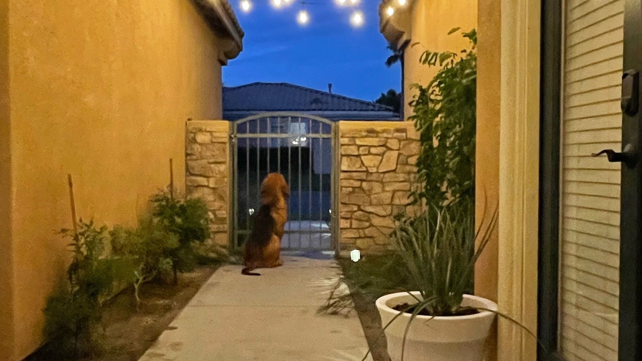 Photo of Outdoor in Indio