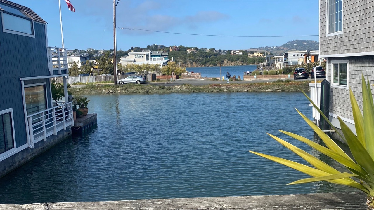 Photo of Others in Marin City