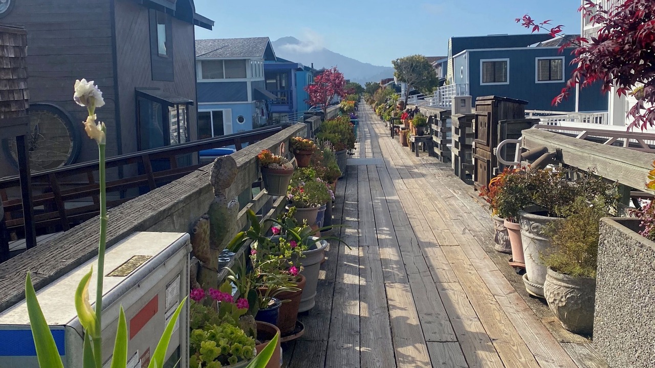 Photo of Others in Marin City