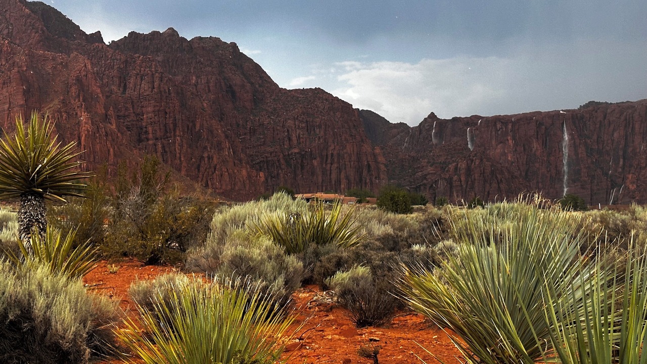 Photo of Others in Kayenta