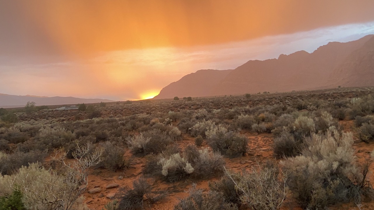 Photo of Outdoor in Kayenta