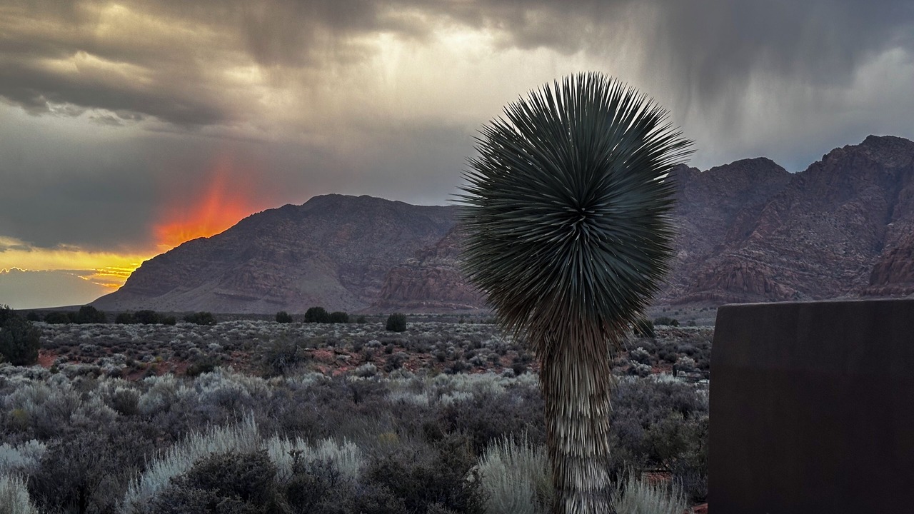 Photo of Outdoor in Kayenta