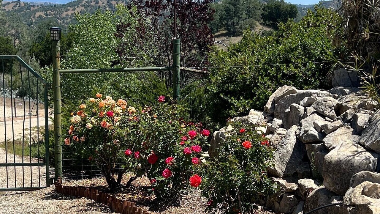 Photo of Outdoor in Paso Robles