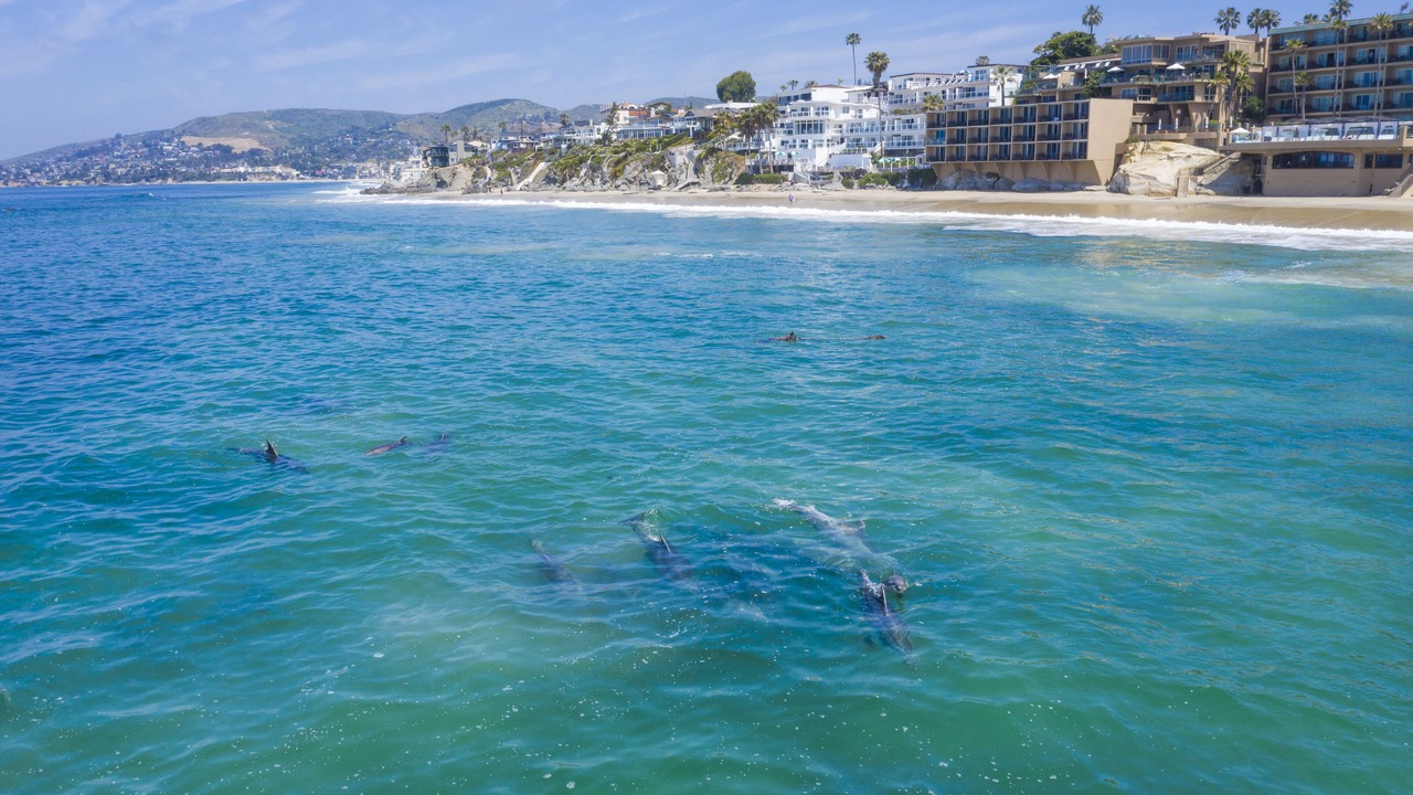 Photo of Others in Laguna Beach