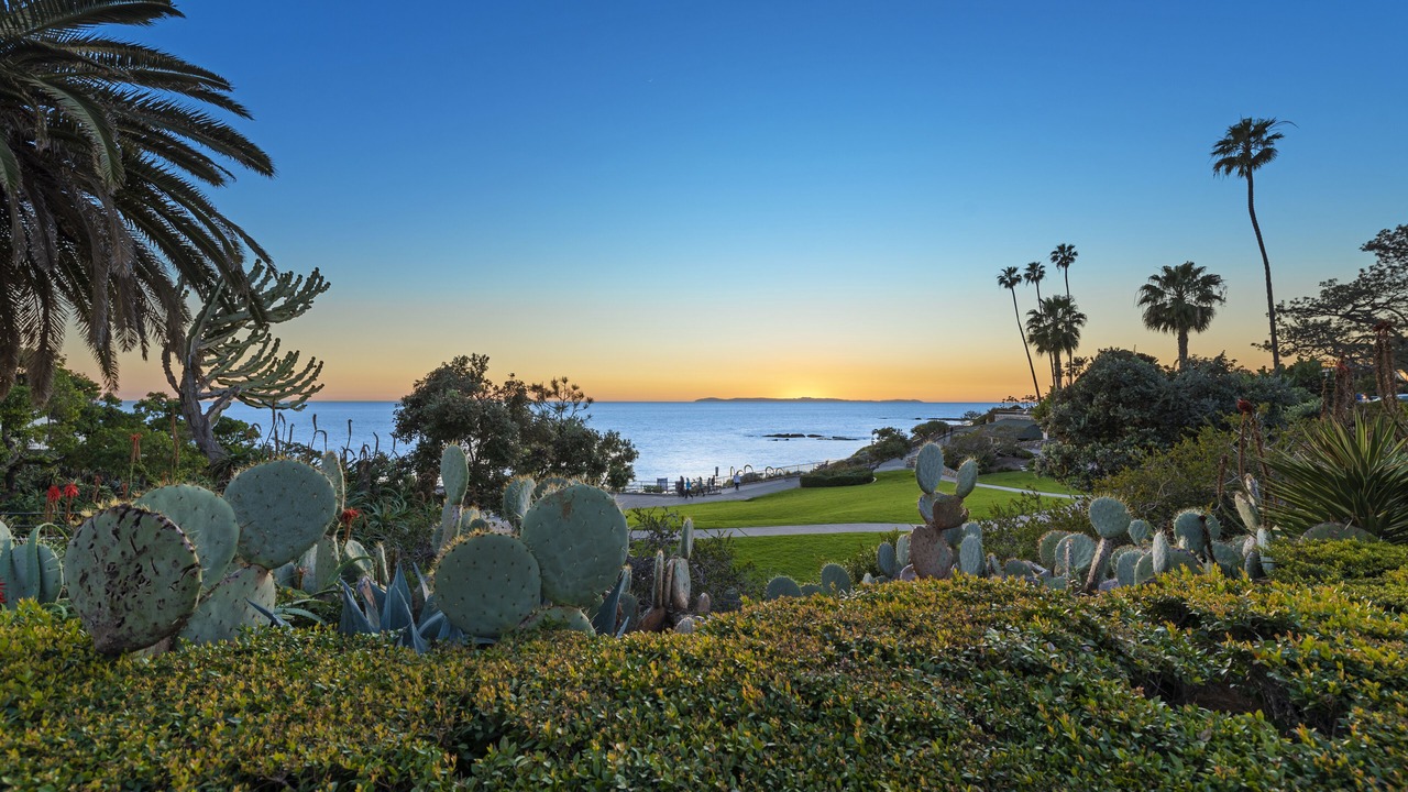 Photo of Others in Laguna Beach