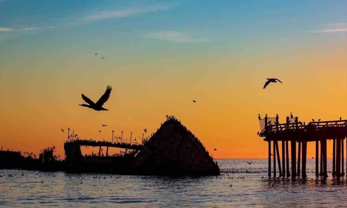 Photo of Others in Rio del Mar
