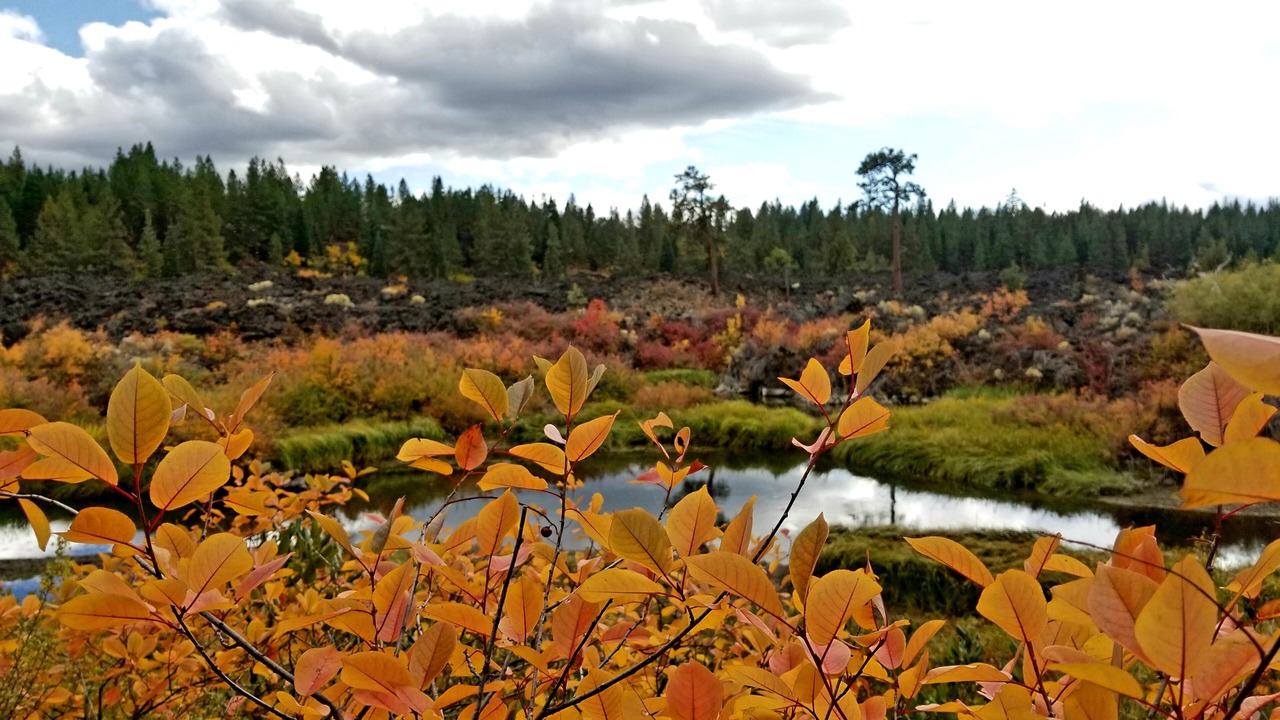 Photo of Others in Deschutes River Woods