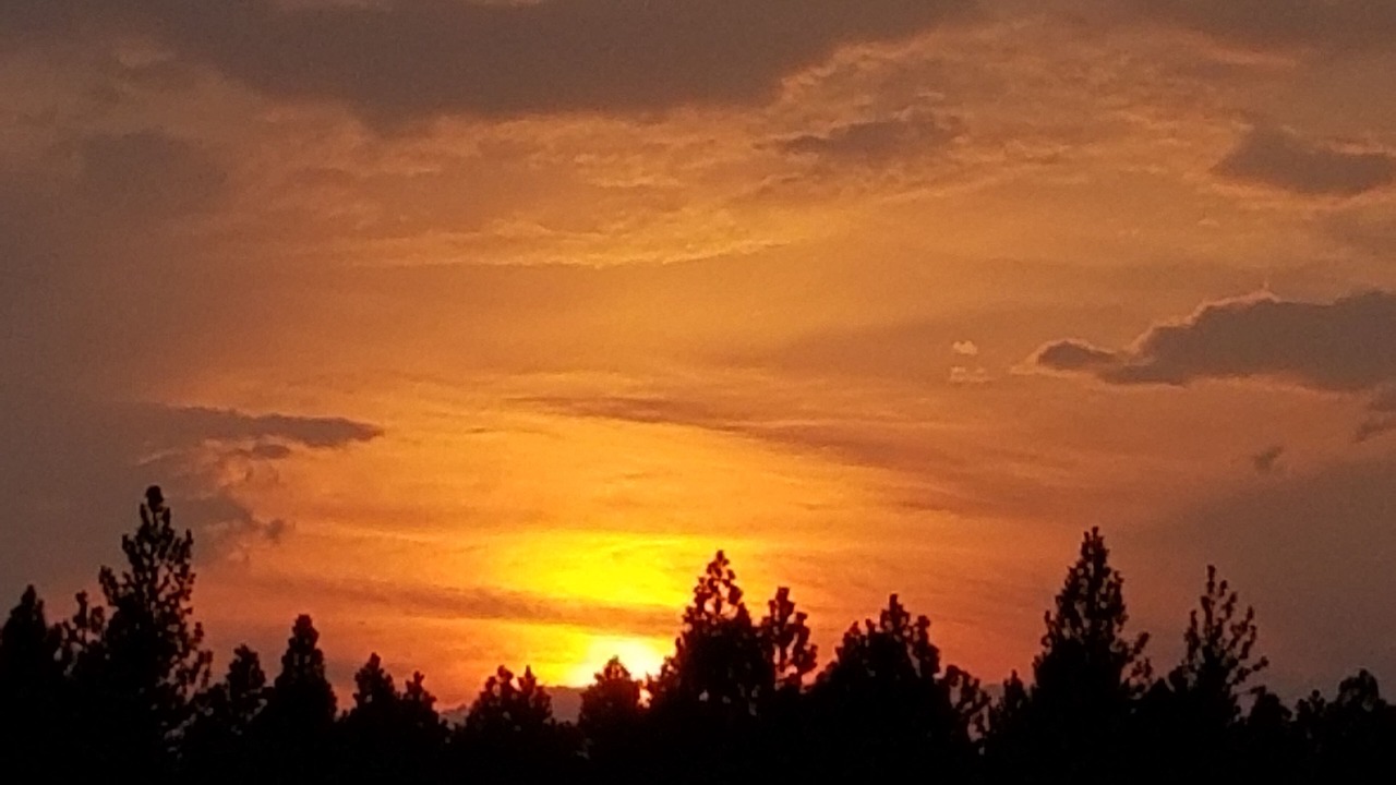 Photo of Others in Deschutes River Woods